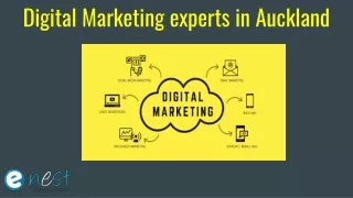 digital marketing experts i n auckland