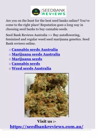 are you on the hunt for the best seed banks