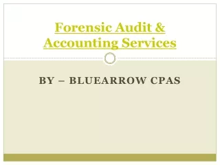 Forensic Accounting & Auditing Services – BlueArrowCPAs