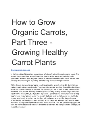 How to Grow Organic Carrots, Part Three - Growing Healthy Carrot Plants