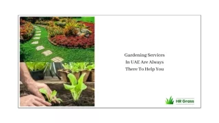 Gardening Services In UAE Are Always There To Help You