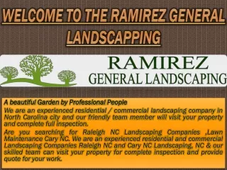 Tree Trimming Raleigh NC