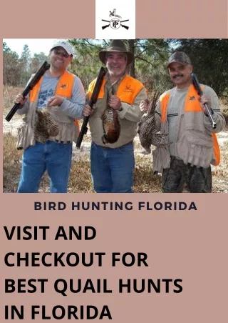 Get The Best Quail Hunts In Florida