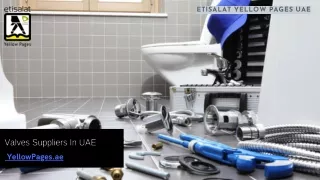 List Of Valves Suppliers In UAE