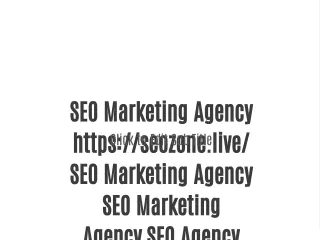 SEO Marketing Agency