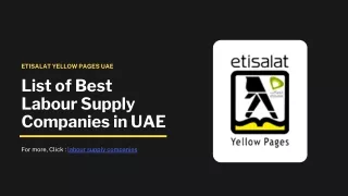List of Best Labour Supply Companies in UAE