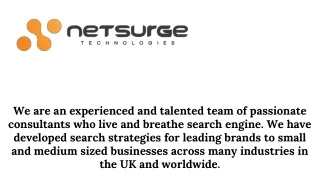 Digital Marketing Company - Netsurge