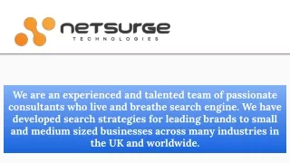 Web Design & Development Services - Netsurge