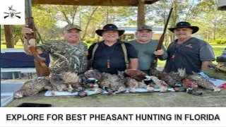 Know About The Best Pheasant Hunting In Florida