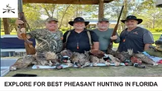 explore for best pheasant hunting in florida