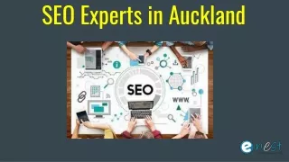 seo experts in auckland