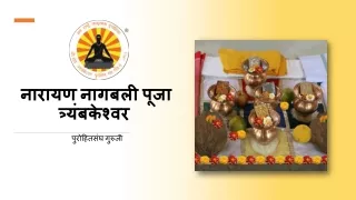 नारायण नागबली पूजा त्र्यंबकेश्वर