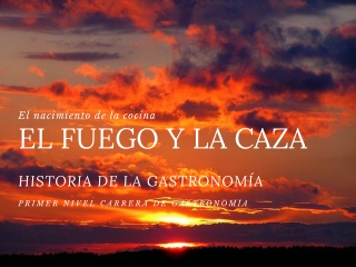 el nacimiento de la cocina