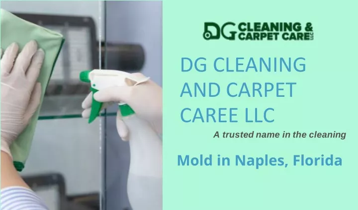 dg cleaning and carpet caree llc