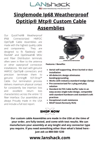 singlemode ip68 weatherproof optitip mtp custom