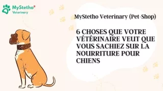 6 choses que vous savez sur les aliments pour chiens
