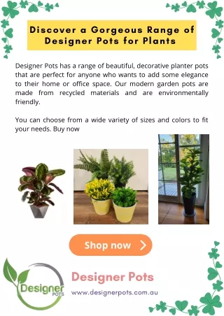 Discover a Gorgeous Range of Designer Pots for Plants