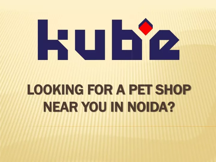 looking for a pet shop near you in noida