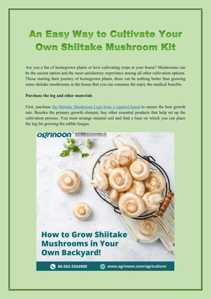 an easy way to cultivate your own shiitake