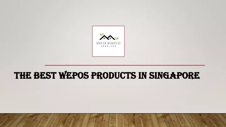 the best wepos products in singapore