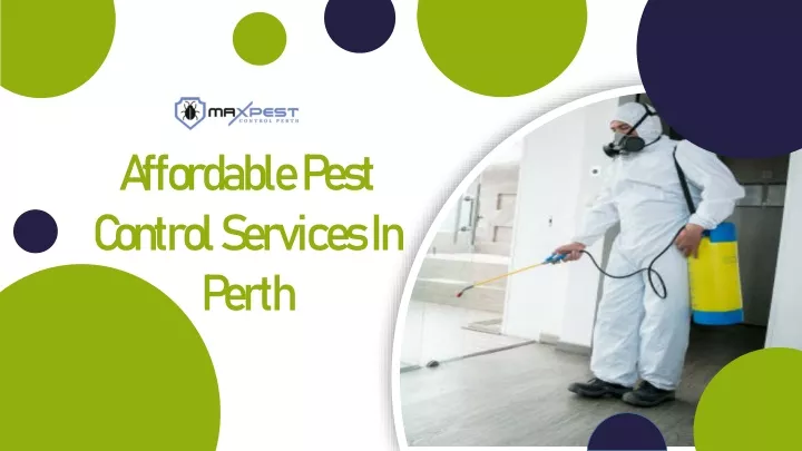 affordable pest control services in perth