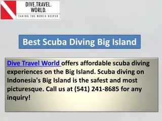 Best Scuba Diving Big Island