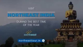 Visit Northeast India During the Best Time of the Year