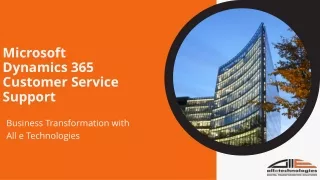 Microsoft Dynamics 365 Customer Service Support in the USA