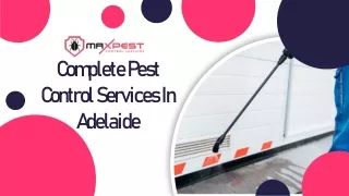 Max Pest Control Adelaide a Leading Provider of Pest Control