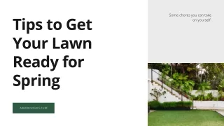 Tips to Get Your Lawn Ready for Spring