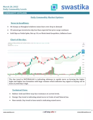 Commodity daily levels (28-MAR)