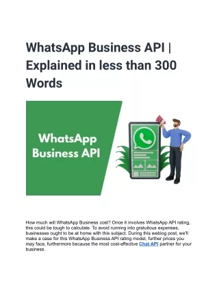 WhatsApp Business API _ Explained in less than 300 Words
