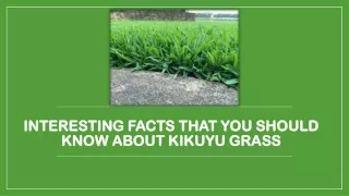 Interesting Facts That You Should Know About Kikuyu Grass