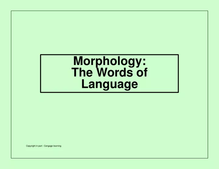morphology the words of language