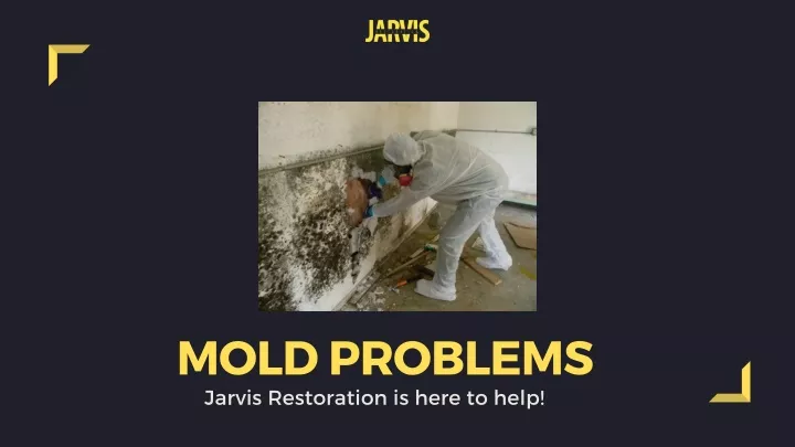 mold problems jarvis restoration is here to help