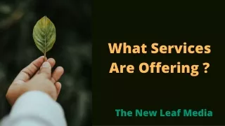 What Services Are Offering ? | The New Leaf Media