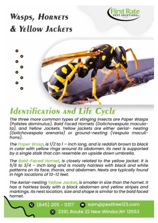 Pest Control Orange County  | Termite Control Orange County