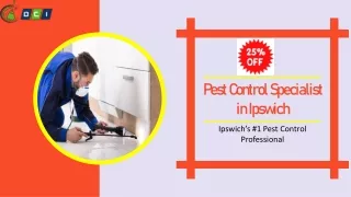 Pest-Control in Ipswich