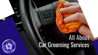 All About Car Grooming Services