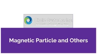magnetic particle and others
