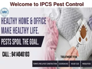 Best Pest Control Service in Bareilly