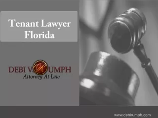 Tenant Lawyer Florida