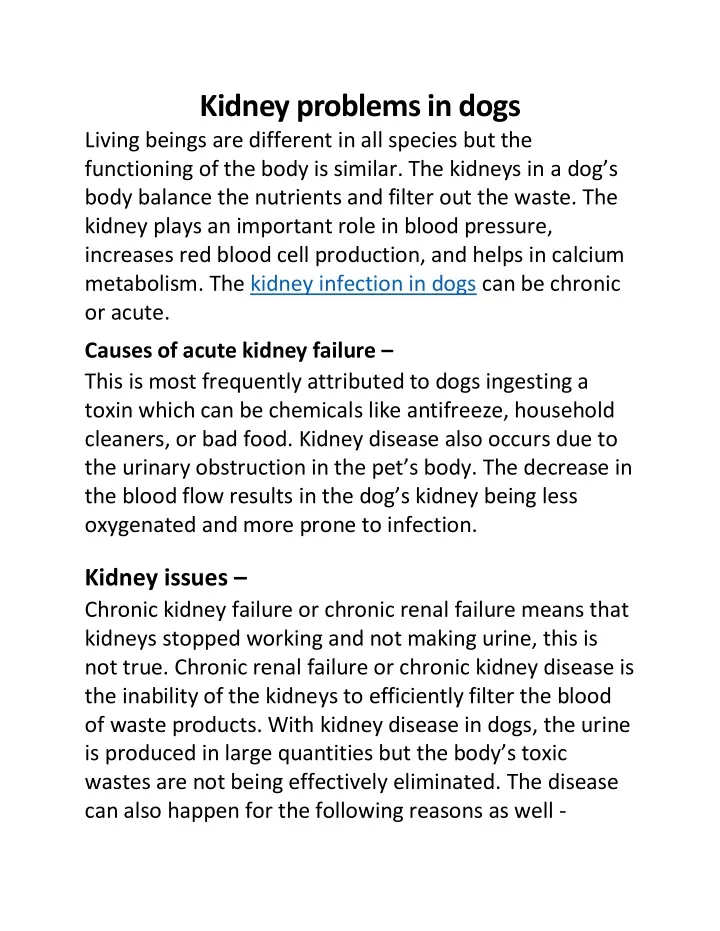 kidney problems in dogs living beings
