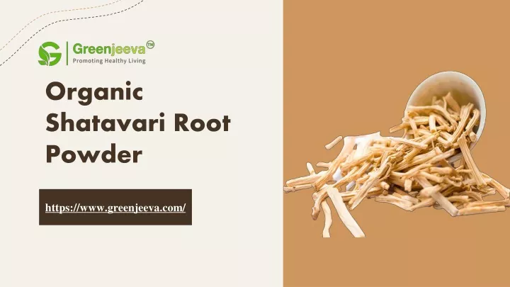 organic shatavari root powder