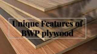 Unique Features of BWP Plywood