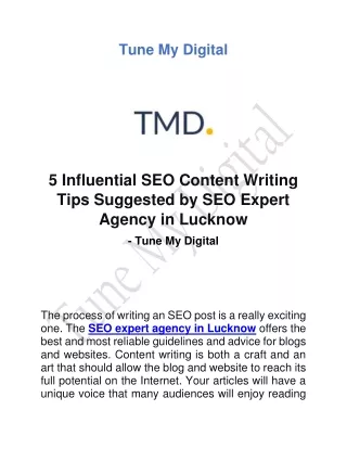 SEO Expert Agency in Lucknow-Tune My Digital