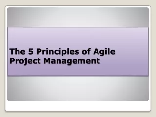 The 5 Principles of Agile Project Management