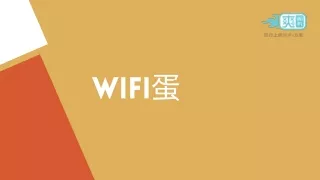 WiFi蛋