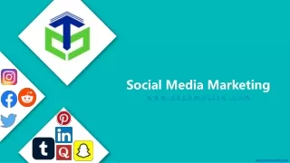 Best SMM Agency in Noida pdf, Techmojito