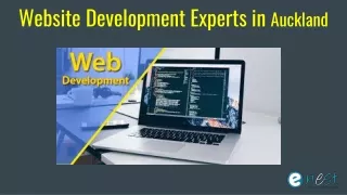 website development experts in auckland